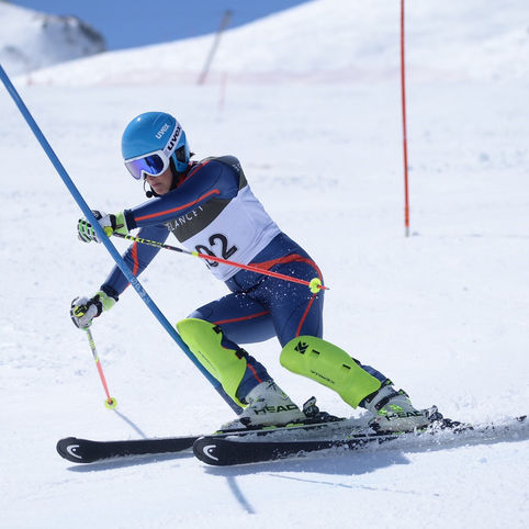 Filming with magnificent Millie