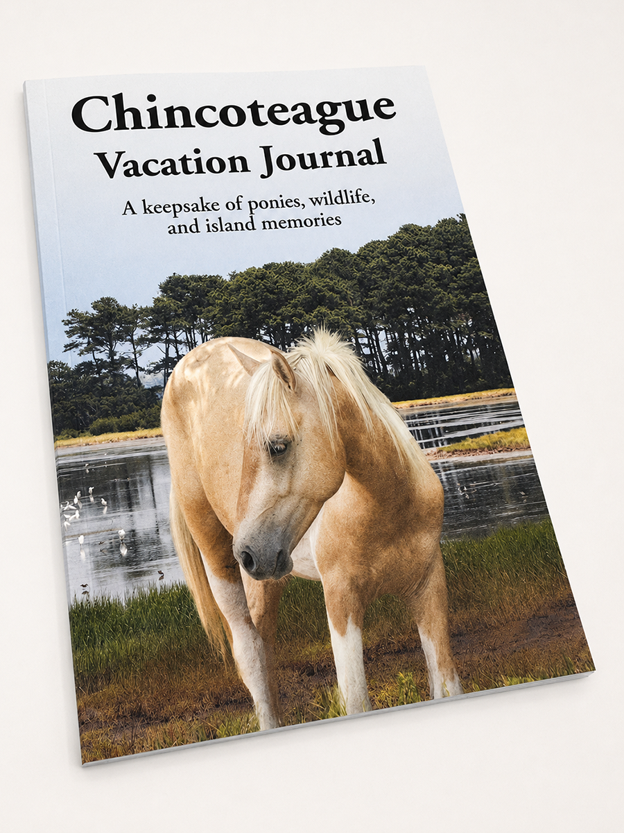 Chincoteague Vacation Journal paperback with palomino pony cover