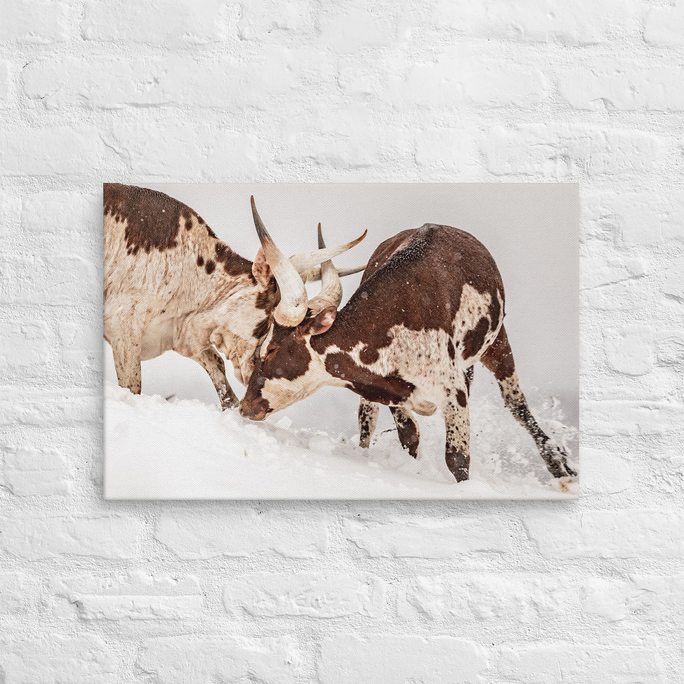 Thumbnail: Winter's Fury - Canvas Print