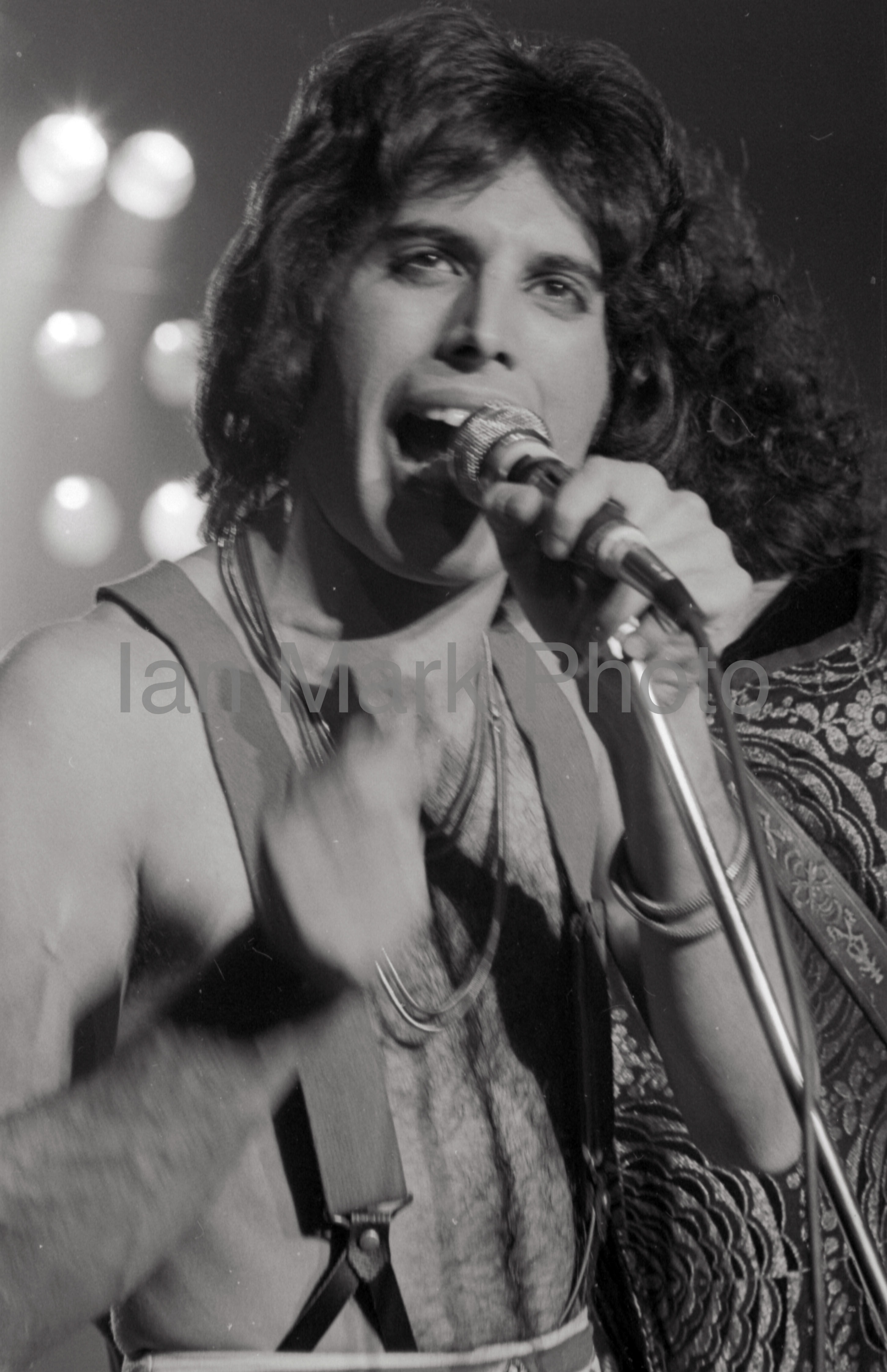 Queen 8X12 Photo