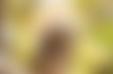 Why you should shoot photos like your not going to edit them