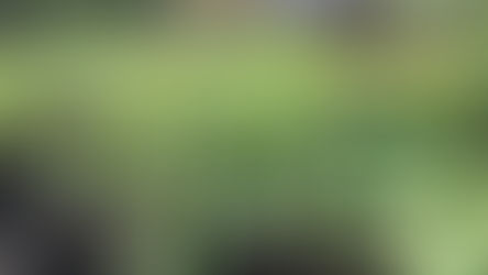 Farm Stand Opening & Plant Sale