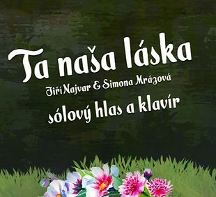 Ta naše láska - přebal knihy