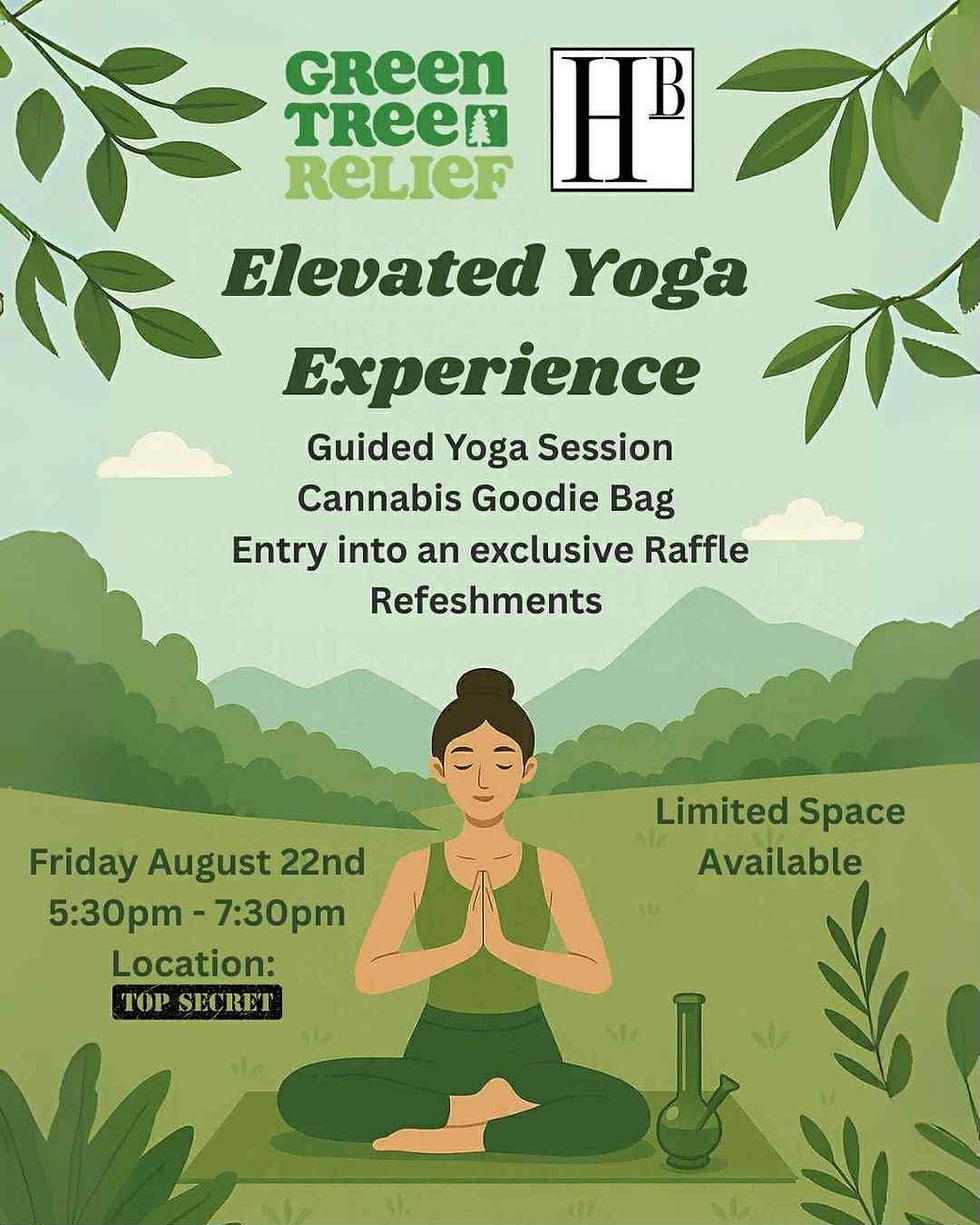 Elevated Yoga Experience
