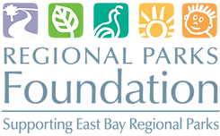 RPF_Logo_CMYK.png