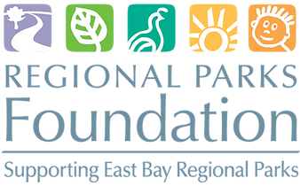 RPF_Logo_CMYK.png