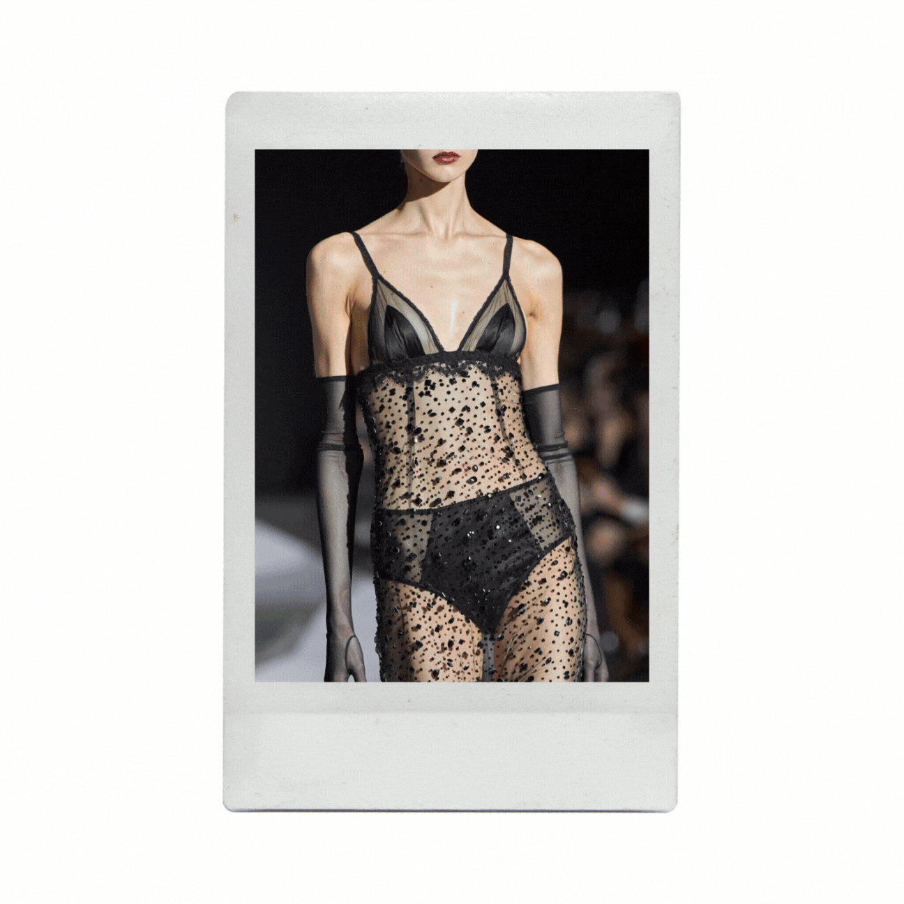 Untitled design (1).gif