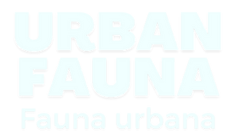 Diseño sin título (35).png