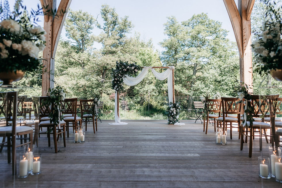 Thumbnail: Birch floral backdrop
