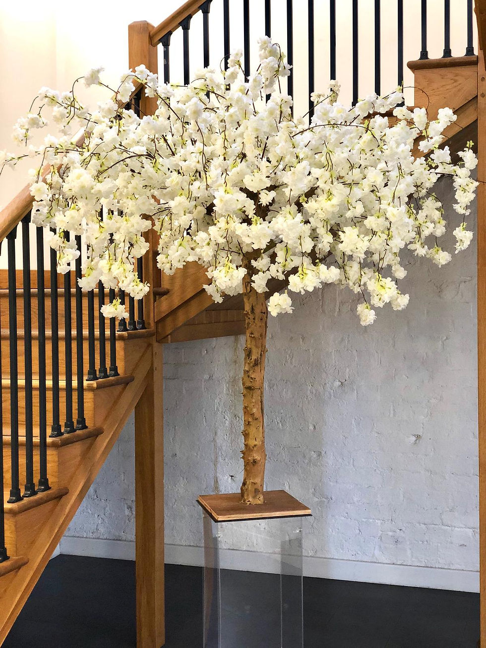 Thumbnail: Ivory Blossom Tree