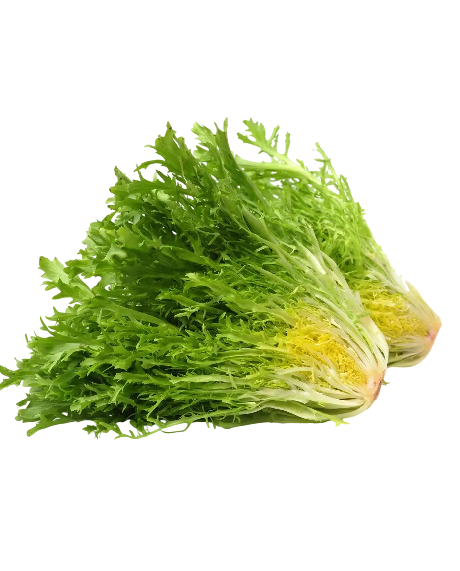 Frisee-Lettuce.jpg