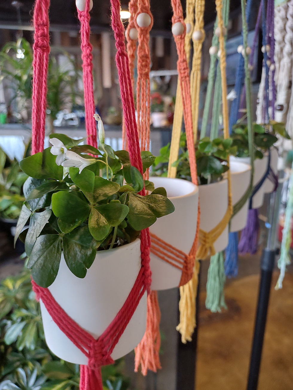 Thumbnail: Mini Macrame