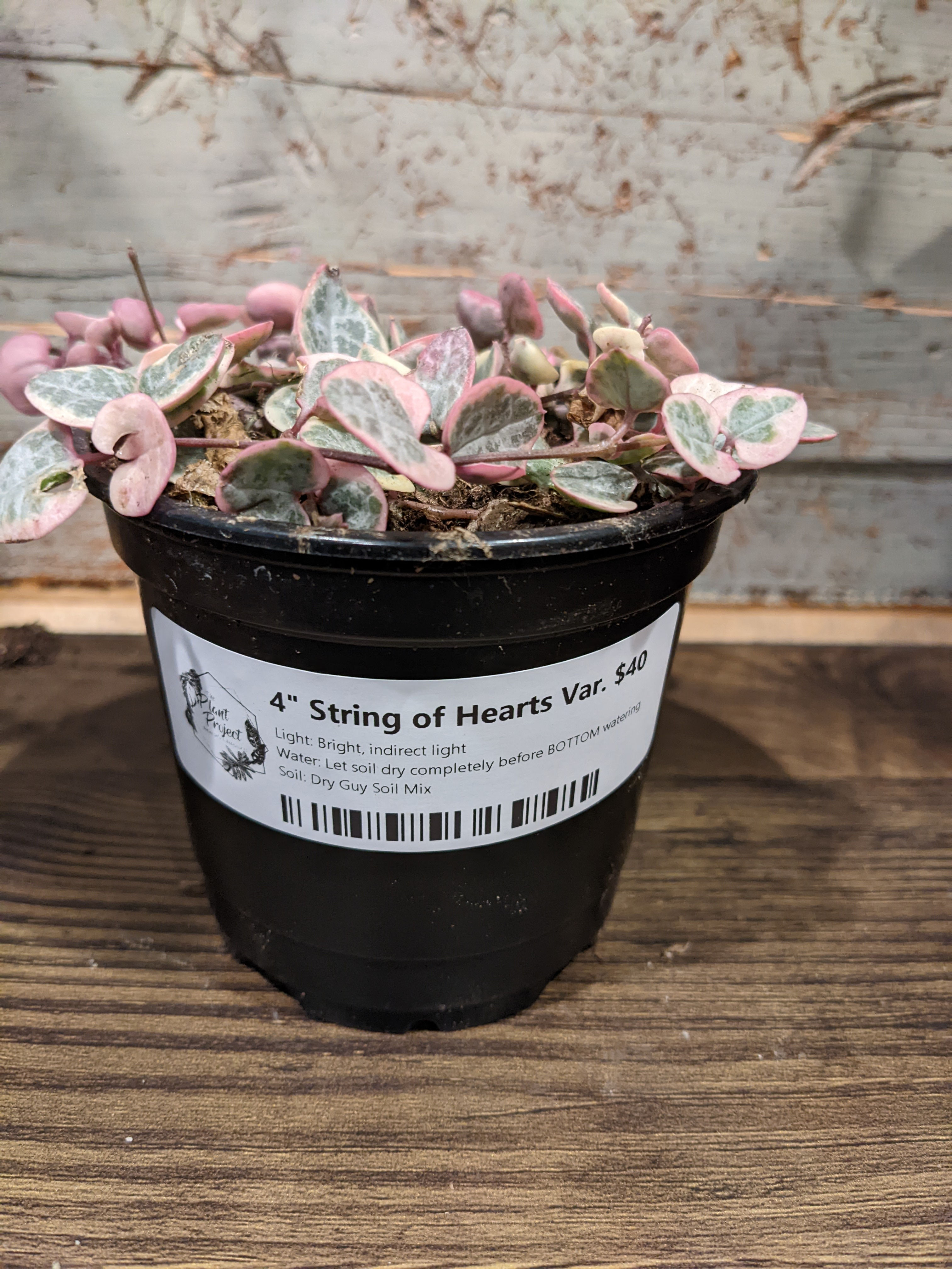 4" String of Hearts - Variegated