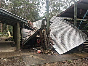 Tree Impact Damage To House