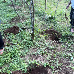 WhatsApp 이미지 2023-06-14, 13.48.54.jpg