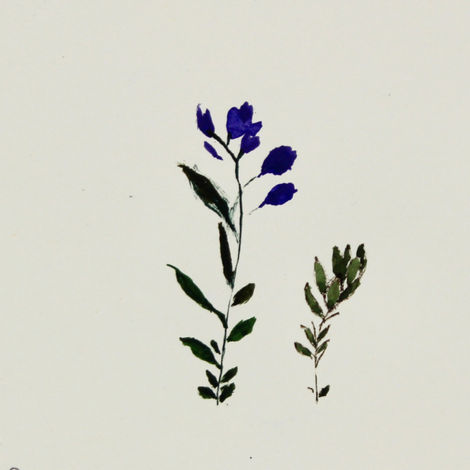 Sprig 2, watercolour 