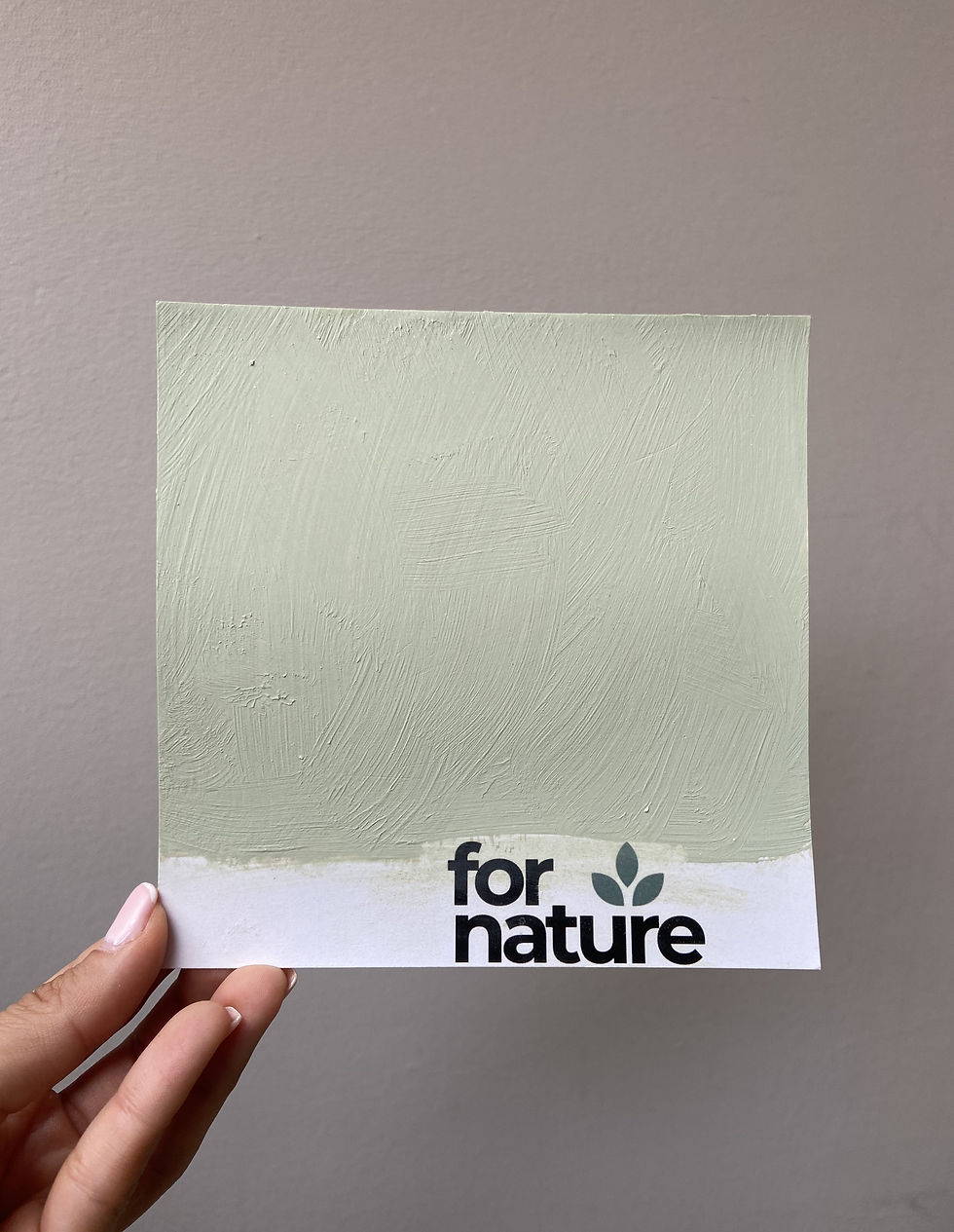 Farba wapienna LIMEA - kolor LAS