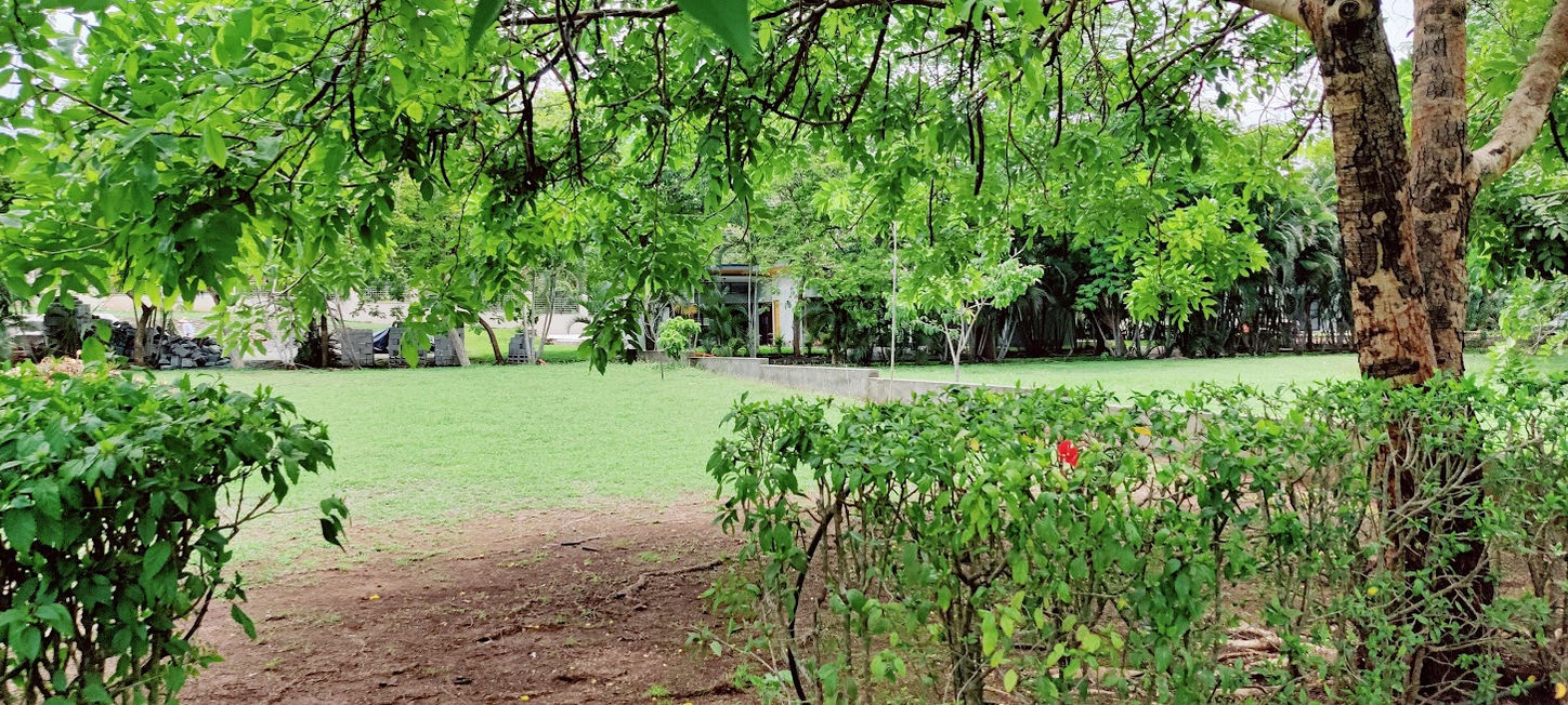 Flat 983m² lot in La Norma, Tamarindo, with green living fence and trees