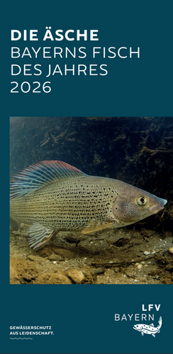 Fisch des Jahres 2026