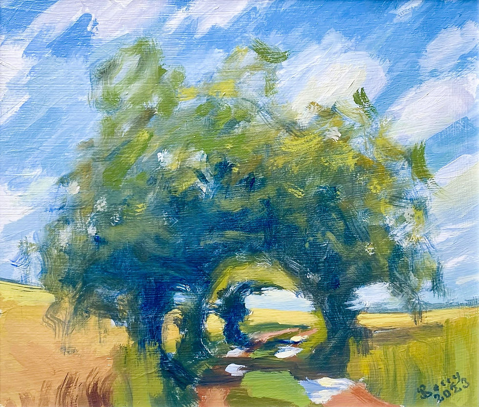 Daydreaming After The Rain