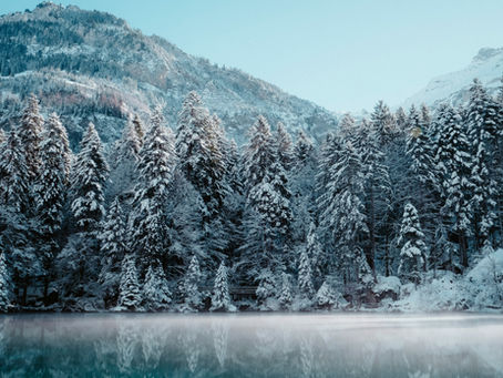 A frozen snowscape of pines dusted with snow with craggy peaks rising over a misty mountain lake.