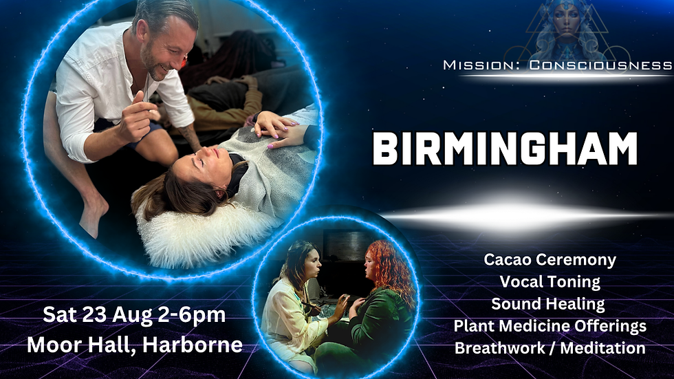 BIRMINGHAM - Mission Consciousness LIVE activation afternoon (1)