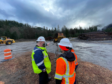 Oregon wildfire recovery debris removal begins with hazard trees