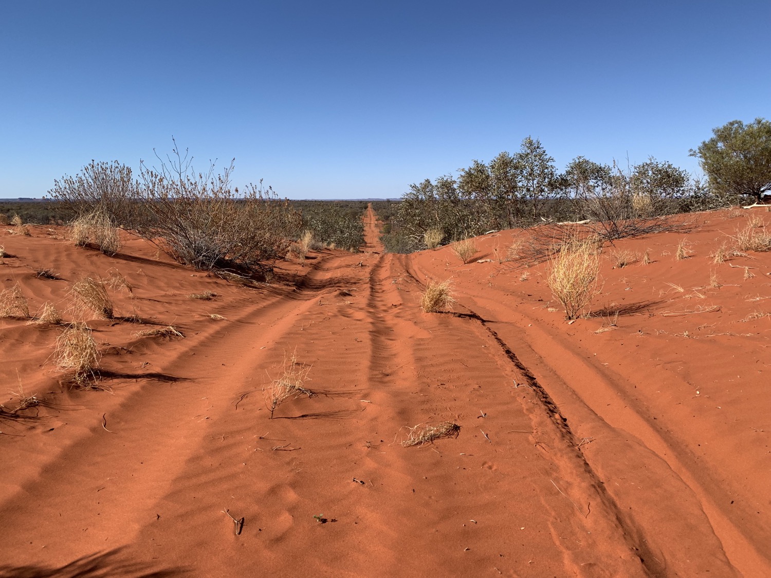 Uluru 6 Day OffRoad Motorcycle Tour See Uluru and Kings Canyon