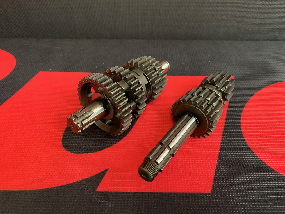 BUCCI RACING HD Pit Bike UPGRADED GEARBOX - DAYTONA ANIMA