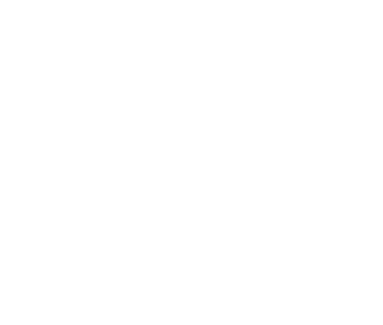 星図.png