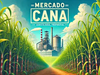 O Que Esperar do Mercado de Cana-de-Açúcar em 2025?