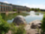 Pond-Outside-Guestrooms.jpg
