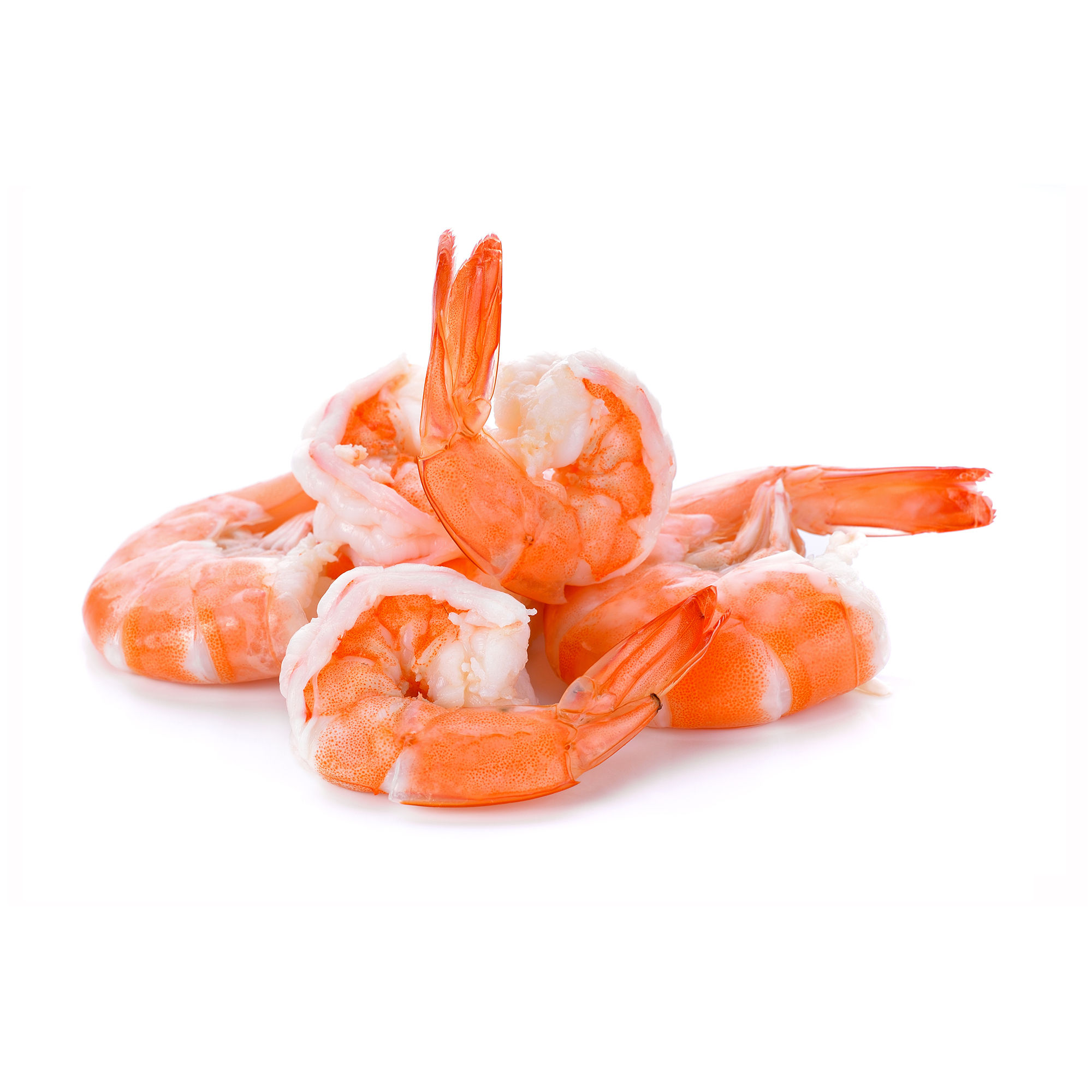 Shrimp