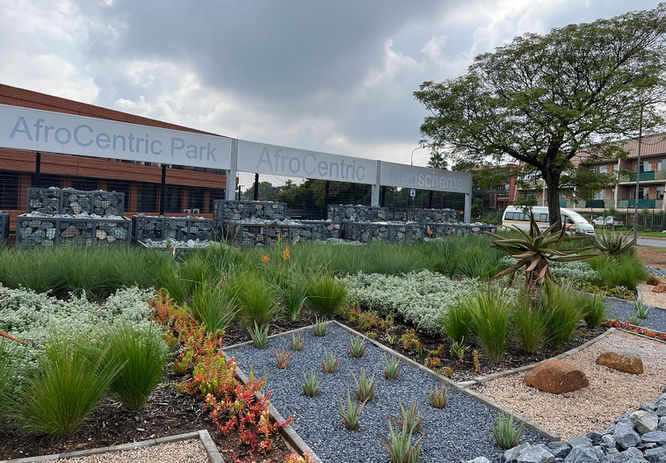 Photo of rich planting at Medscheme Afrocentric Park.