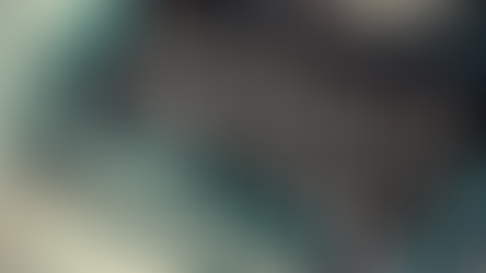 Discover the Life of AAITO AICHI: Biography Insights