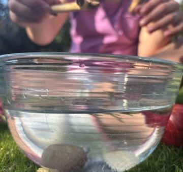 3 Simple Garden Water Play Ideas for Summer Days