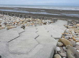 DSCN8130.JPG