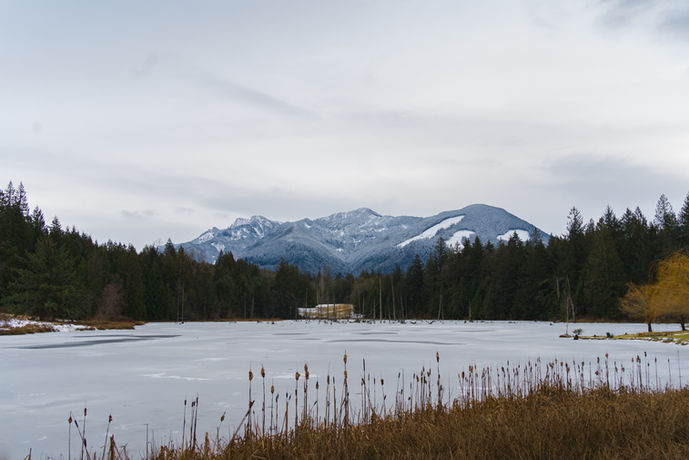 Hornby Cabin-7409585.jpg