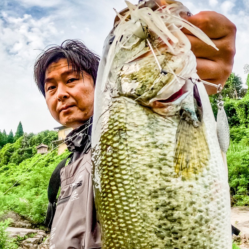 Writer: FIELD STAFF 邊見