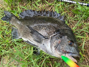 【A-PEN68開発の記録】第3話