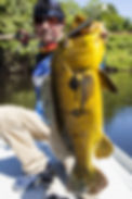 amazon_fishing_results.jpg