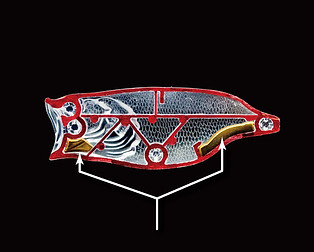 新品未開封　アダスタ　ネオリーン　5種類セット NeoRean | ADUSTA Japanese Fishing Tackle