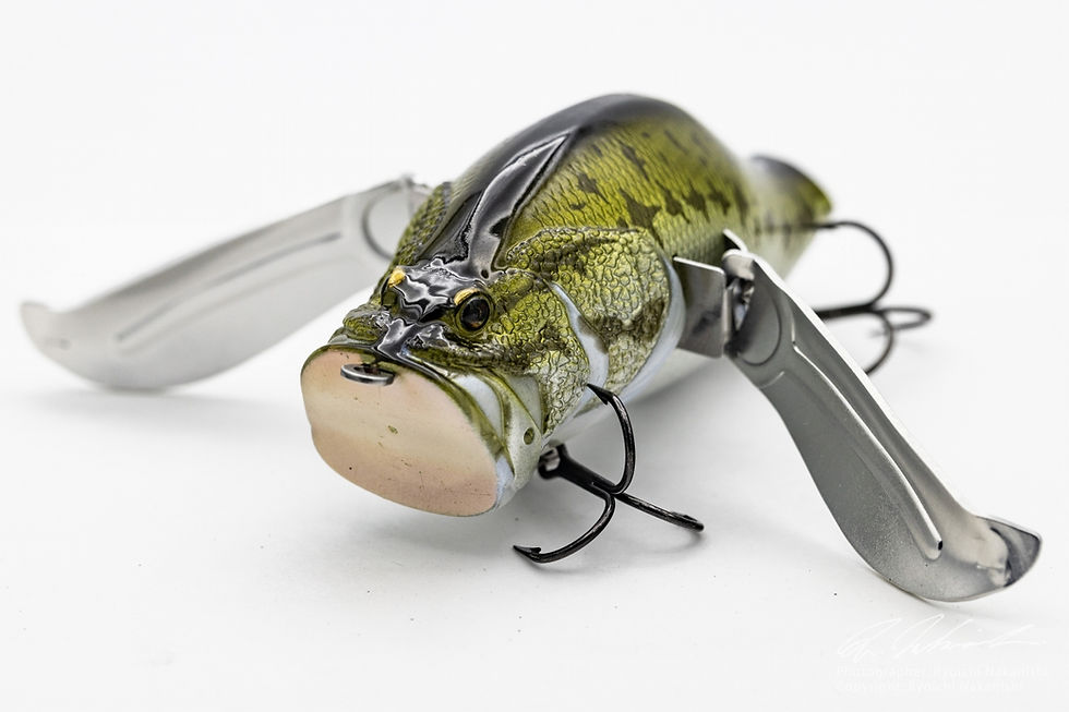 YAJIROBEEオリジナルサイズのボディにJrのウイングを装着