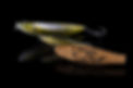 _89A1597.jpg