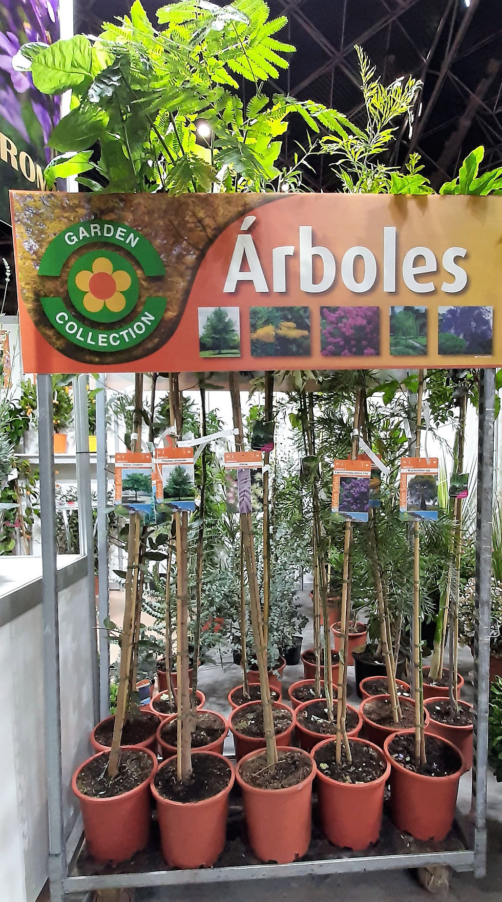 Señalizar la sección de árboles es primordial para una buena imagen y unas buenas ventas.