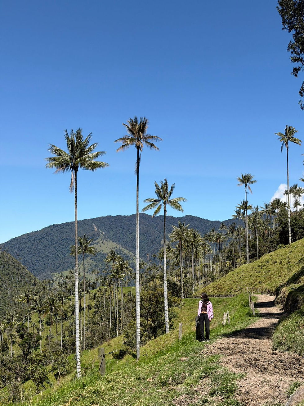 Carbonera Valley