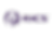 RICS-1024x683_edited.png
