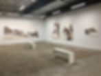 Installation View at Equinom Gallery, 2017