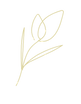 5A.png