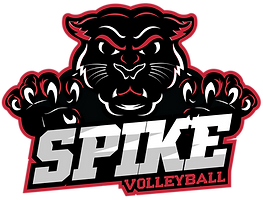 Spike logo_edited.png